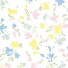 �����桡Ⱦ�ۡ��ڡ���ե��ݡ���������