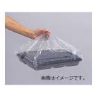 ����ʪ��ͭ�����оݳ���<br>�ڥ���������ۣӣ˥Хå����Х����������������𡡣Σϡ����������������硡<br>���ߣ����������߶ң�������Ĺ���������������޹���������<br>�ڥХ����ޥ���̵�������ۡ����������Ž��ƴ�����ƴ�����ɥ֥뻮���ޡ�