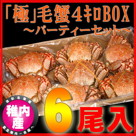������̵�������⻺�ζ˾��ӥ��ˣ�����BOX��6����ʡ�ޡ����˥ѡ��ƥ����ˢ�