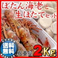 ������̵���ۻһ��ܥ��󥨥�1�����ܽ�ë�����ۥ���1��������ף������Τ������åȡ�