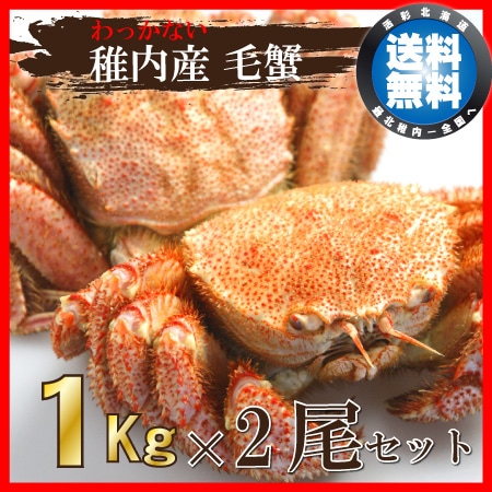 ������̵�������⻺�ӥ���1K���2�����åȡ��̳�ƻ����˾��ӳ���ľ������¤ʤΤ˿Ȥ⥫��̣���⤿�äפꡪ