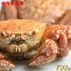 �����⻺���ӥ���700���1�����̳�ƻ����˾��ӳ���ľ������¤ʤΤ˿Ȥ⥫��̣���⤿�äפꡪ