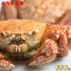 �����⻺���ӥ���650���1�����̳�ƻ����˾��ӳ���ľ������¤ʤΤ˿Ȥ⥫��̣���⤿�äפꡪ