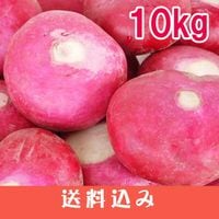 ֤֤ ֥ դʤ   10kg 츩  ⻳   ʪ  ƱԲ ջԲ ̳ƻ1000ߡ1200ɬ