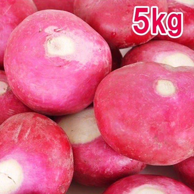 ֤֤ ֥ դʤ   5kg 츩  ⻳   ʪ  ջԲ