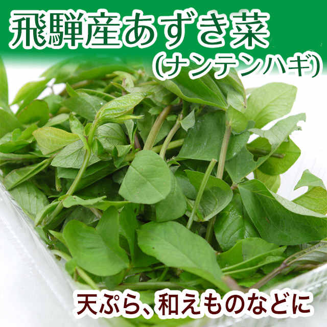 �����ջ����Բġ� �������� �������� �������� ��Ʀ�� ���� �� 50�� ���츩 �⻳ ���ͻ� �� ����ľ�� ŷ�פ� �ʥ�ƥ�ϥ�