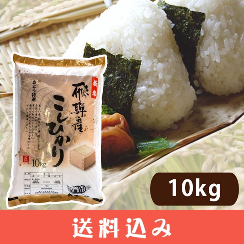 ���ͻ� �����ҥ��� ���Ȥ� ������ 10kg 2025ǯ�ٻ� ���츩 ���͹⻳ ����7ǯ ������ Ʊ���Բ� ���̳�ƻ1000�ߡ�����1200������ɬ��