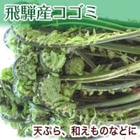 �����ջ����Բġ� ������ ������ ���� ŷ�� �� 100g ���츩 �⻳ ���ͻ� ����ľ�� ��