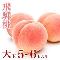 ��7��ܡ�8����ȯ���� ������ ��� 5��6�� 1.5~2kg Ȣ�� �ʼ��ؤ�� ���츩 ���ͤ�� ���渵 £�� Ʊ���Բ� ������ ���̳�ƻ1000�ߡ�����1200������ɬ��