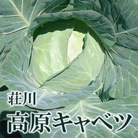 �⸶ ����٥� 1�� �������� ���츩 ��