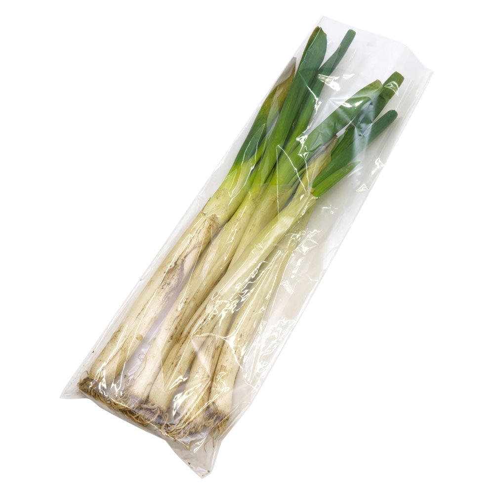 ���ͤͤ� �Ϥͤ� 500g �ͥ� Ǭ