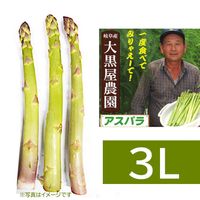 ��������� ���ͻ� �����ѥ� 3�� 200g  ���� �� �����ѥ饬�� ���츩�� ̵�������� ����������