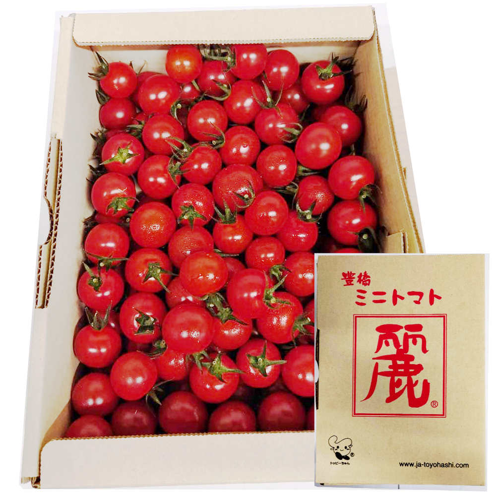 ��ߥ˥ȥޥ� 1kg ����9�ٰʾ� ������ �ߥ˥ȥޥ� �줤 JA˭�� ���θ��� ��