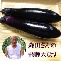 ���Ĥ��� ������ʤ� 2�� �ʥ� �ػ� ���츩 ��