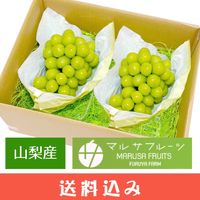 ��8��ܡ�9��ܡ� ���㥤��ޥ����å� ��γ 1.6kg (800g��2˼) ������ �ޥ륵�ե롼�� �Ų����� Ʊ���Բ� ������ ���̳�ƻ1000�ߡ�����1200������ɬ��