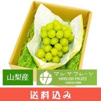 ��8��ܡ�9��ܡ� ���㥤��ޥ����å� ��γ 800g (1˼) ������ �ޥ륵�ե롼�� �Ų����� Ʊ���Բ� ������ ���̳�ƻ1000�ߡ�����1200������ɬ��