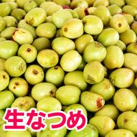 ���ͻ� ���ʤĤ�μ� γ��·�� 1kg�������Ի��� �� ���͹⻳ ���츩 ������ ���� 
