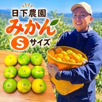 �������� �ߤ��� S������ 700g 9�� ͳ������ �� ̵���� �Ų����;��Ի�