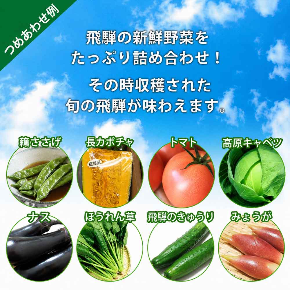 野菜・フルーツ,夏野菜セット（7月～9月）>飛騨の夏野菜セット トマト