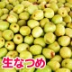 ���ͻ� ���ʤĤ�μ� γ��·�� 1kg�������Ի��� �� ���͹⻳ ���츩 ������ ���� 