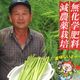 ��������� ���ͻ� �����ѥ� ��200g  �� �����ѥ饬�� ���츩�� ̵�������� ����������