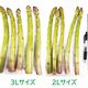 ��������� ���ͻ� �����ѥ� 2�� 200g  �� �� �����ѥ饬�� ���츩�� ̵�������� ����������