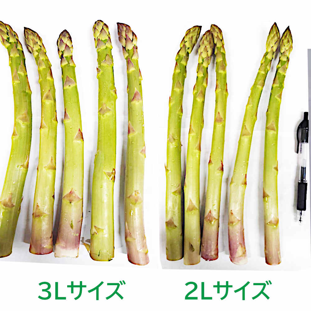 ��������� ���ͻ� �����ѥ� 3�� 200g  ���� �� �����ѥ饬�� ���츩�� ̵�������� ����������