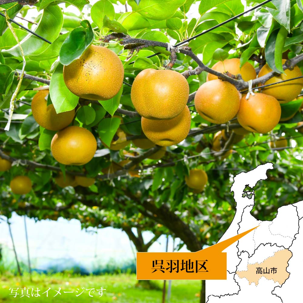 �ٻ��� �Ⱪ�� ����ϥʥ�  1.6kg (6��)  ��� ������ Ʊ���Բ� ���ջ����Բ� ���̳�ƻ1000�ߡ�����1200������ɬ��