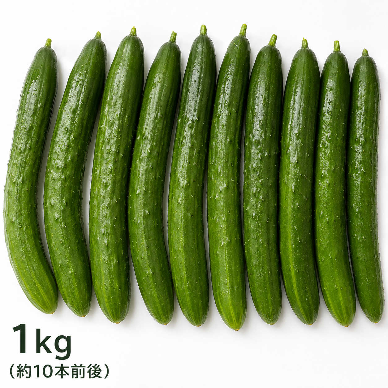 きゅうり＼(^^)／ 野菜・フルーツ>飛騨産きゅうり 1kg 約10本 秀品 国産 岐阜県 新鮮