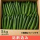 ���ͻ����夦�� 5kg ��50�� ���� �� ���츩 ���� ����ľ��  Ʊ���Բ� ������ ���̳�ƻ1000�ߡ�����1200������ɬ��
