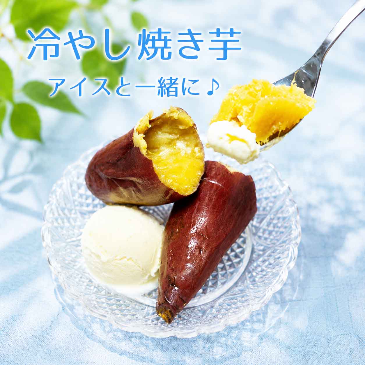 �Ƥ��� �����ѥå� ���ۤιȤϤ뤫 ������ 2��
