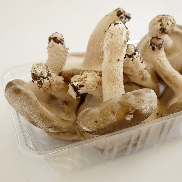     200 ̵ ݾ   礭    ⻳