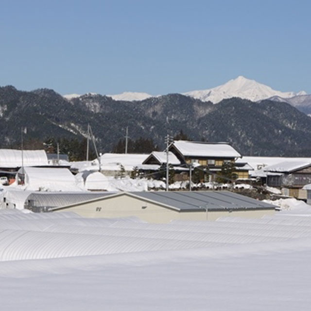     200 ̵ ݾ   礭    ⻳