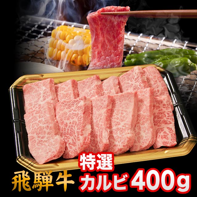  ���͵� A5 A4 ��� ���� �Ƥ����� ���ե� ������ �� ��������� 400g 2~3����