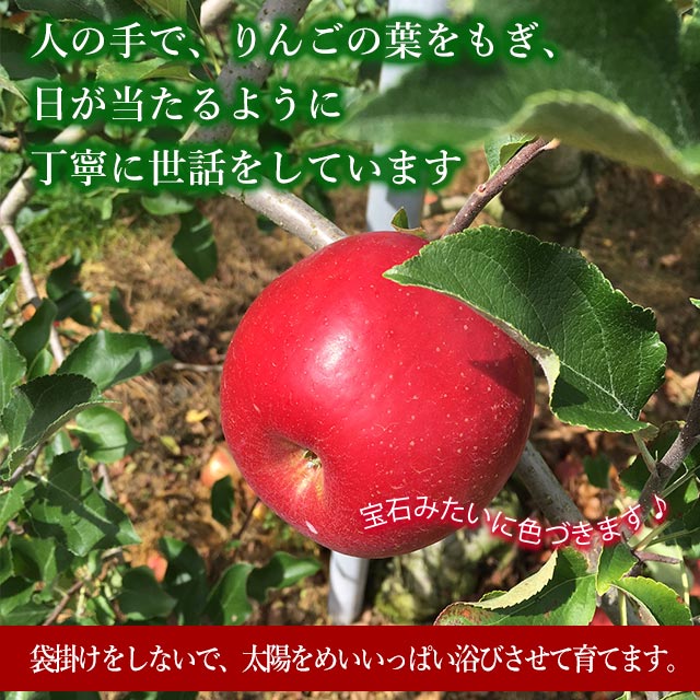 11ܤȯۥդ  5kg 18 Ĺ  Ȣ   Ӹ ̼£  ե  ƱԲ ̳ƻ1000ߡ1200ɬ