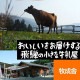 ������ �������Τ蘆�Ӿ����Ҥ� 100�� ��åĥ���� ������ ���� �掠�� ���礦�� ̣ ���� ���� ���Ĥޤ�
