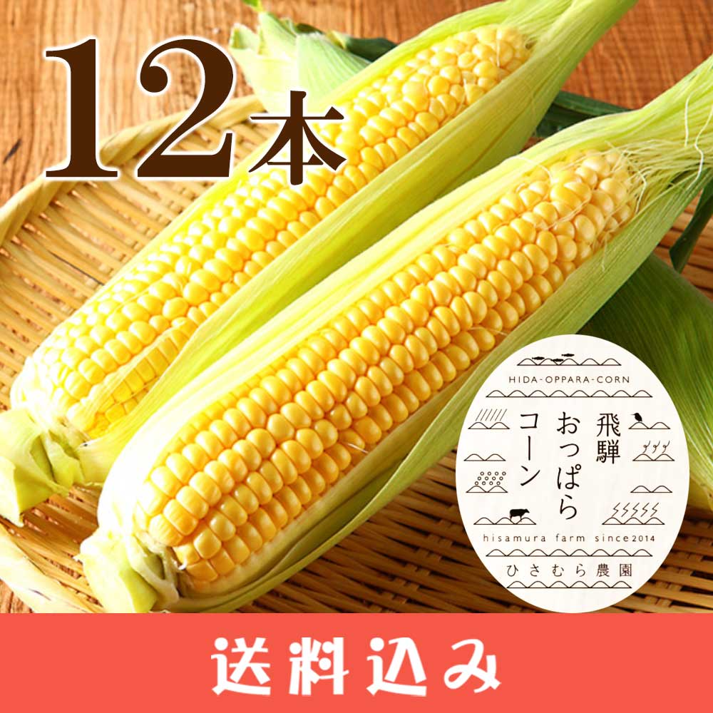 ��ͽ��8���ܡ����ܡ� ���ͤ��äѤ饳���� 12�� �Ҥ��������  ̵��Ȣ ī�Τ� �Ȥ�������� ���츩 Ʊ���Բ� ������ ���̳�ƻ1000�ߡ�����1200������ɬ��