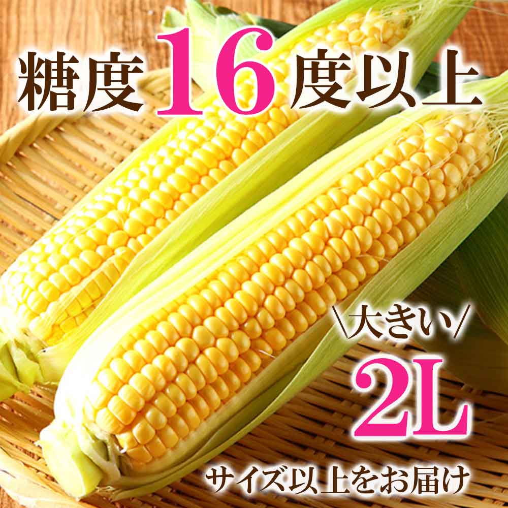��ͽ��8���ܡ����ܡ� ���ͤ��äѤ饳���� 12�� �Ҥ��������  ̵��Ȣ ī�Τ� �Ȥ�������� ���츩 Ʊ���Բ� ������ ���̳�ƻ1000�ߡ�����1200������ɬ��