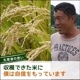 ͻ ҥ Ȥ  2kg 2024ǯٻ  츩 ͹⻳ ̣  6ǯ ̳ƻ1000ߡ1200ɬ
