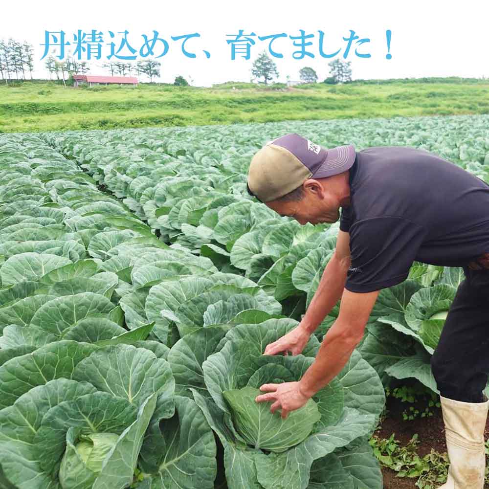 �⸶ ����٥� 1�� �������� ���츩 ��
