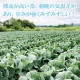 �⸶ ����٥� 1�� �������� ���츩 ��