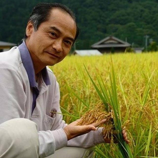 2025ǯ ζ��Ʒ 3kg ���츩 ���ͻ� ��Ϥ ��� ����  ��夦�ΤҤȤ� ε��Ʒ ����7ǯ