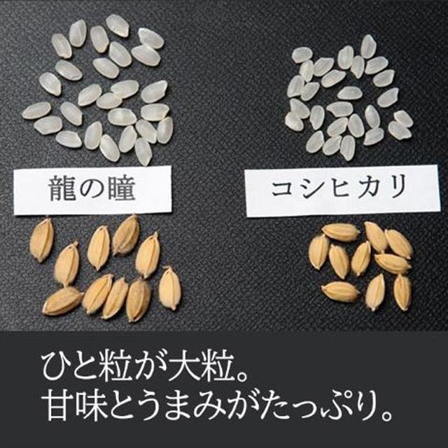 2025ǯ ζ��Ʒ 3kg ���츩 ���ͻ� ��Ϥ ��� ����  ��夦�ΤҤȤ� ε��Ʒ ����7ǯ