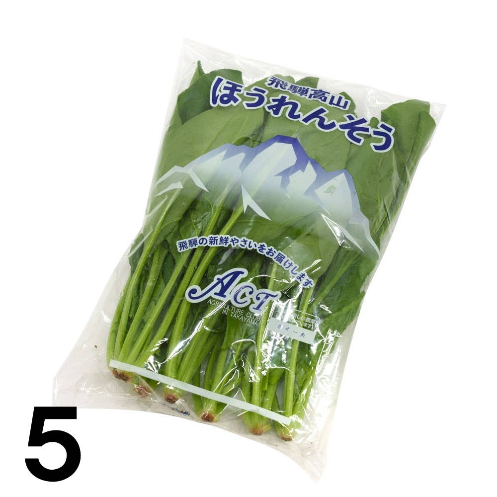 ��5�� ���츩�� ���͹⻳ �ۤ������ �� ��5«
