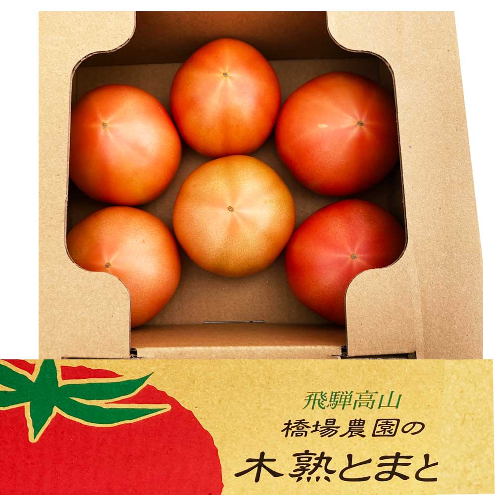 �������� �ڽ� �ȥޥ� 1kg Ȣ�� 5~7�� ���츩 �⻳�� ��