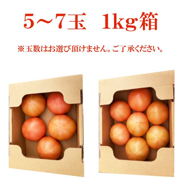 �������� �ڽ� �ȥޥ� 1kg Ȣ�� 5~7�� ���츩 �⻳�� ��