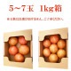 �������� �ڽ� �ȥޥ� 1kg Ȣ�� 5~7�� ���츩 �⻳�� ��