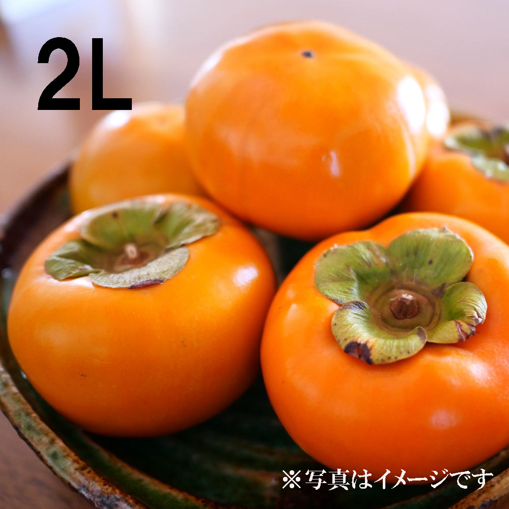 ��12����ȯ���� ��ͭ�� ��12�� 2L ���츩�� �� ���� ���ե� £�� Ʊ���Բ� ���ջ����Բ� ������ ���̳�ƻ1000�ߡ�����1200������ɬ��