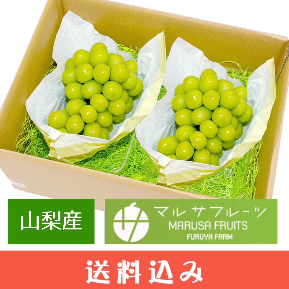 ��8��ܡ�9��ܡ� ���㥤��ޥ����å� ��γ 1.6kg (800g��2˼) ������ �ޥ륵�ե롼�� �Ų����� Ʊ���Բ� ������ ���̳�ƻ1000�ߡ�����1200������ɬ��