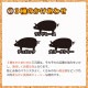 BBQ  å E 3 4 ( ͵  200g /  Х 300g / ۥ 250g 1   ̳ƻ1000ߡ1200ɬ 